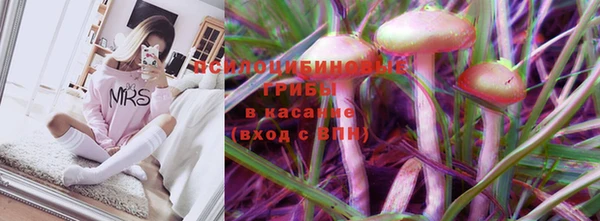 крисы Горно-Алтайск