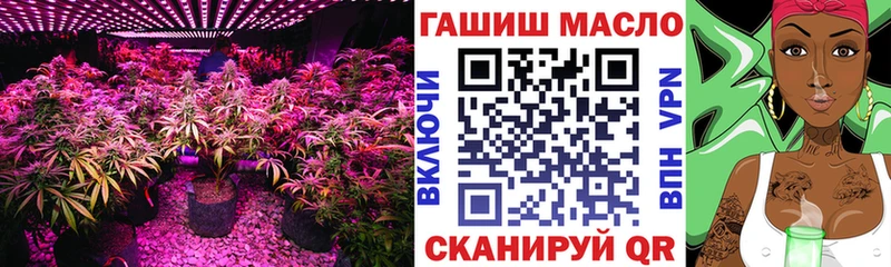 Дистиллят ТГК THC oil  Купить  Шахунья 