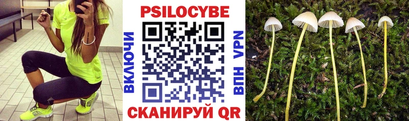 Купить закладки  Шахунья  Псилоцибиновые грибы ЛСД 