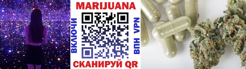 Купить закладки  Шахунья  Бошки марихуана план 